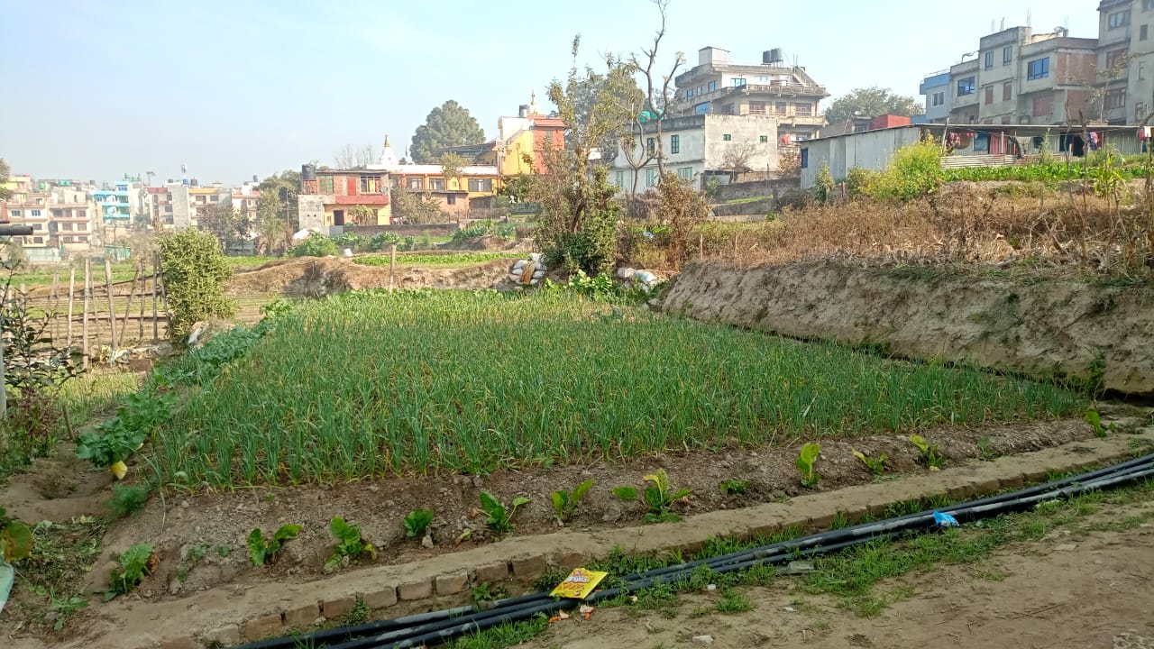 Picture of Bhaktapur Municipality, Bagmati